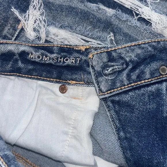 American Eagle Distressed Mom Shorts