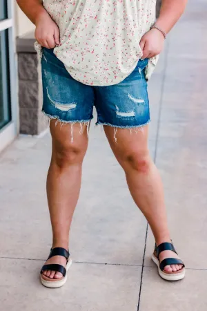 Bleach Babe Judy Blue Shorts