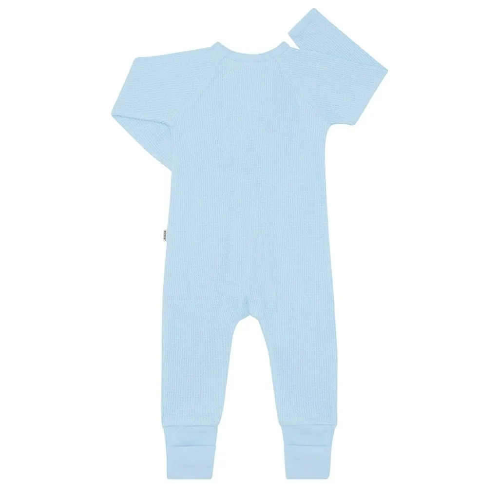 BONDS Waffle Zip Wondersuit - Airbourne