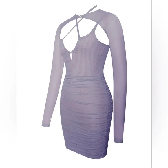 💜Flora Purple Mesh Long Sleeve Dress Dresses💜