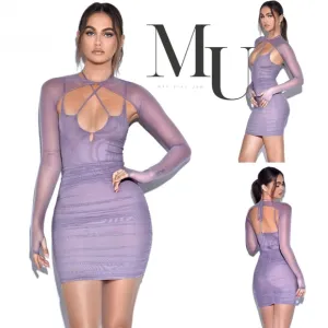 💜Flora Purple Mesh Long Sleeve Dress Dresses💜