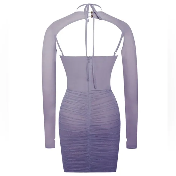 💜Flora Purple Mesh Long Sleeve Dress Dresses💜