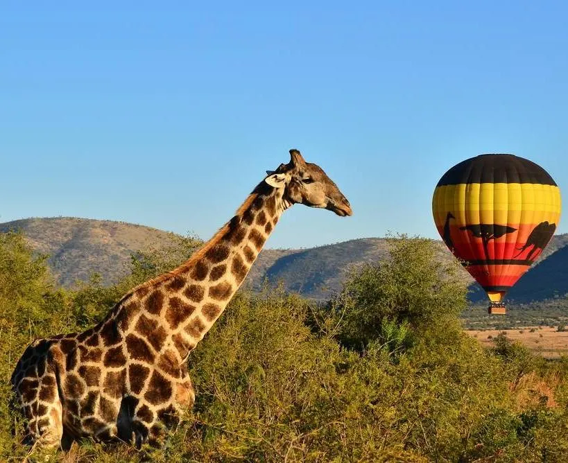 Hot Air Balloon Safari Pilanesberg, South Africa