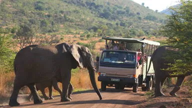 Hot Air Balloon Safari Pilanesberg, South Africa