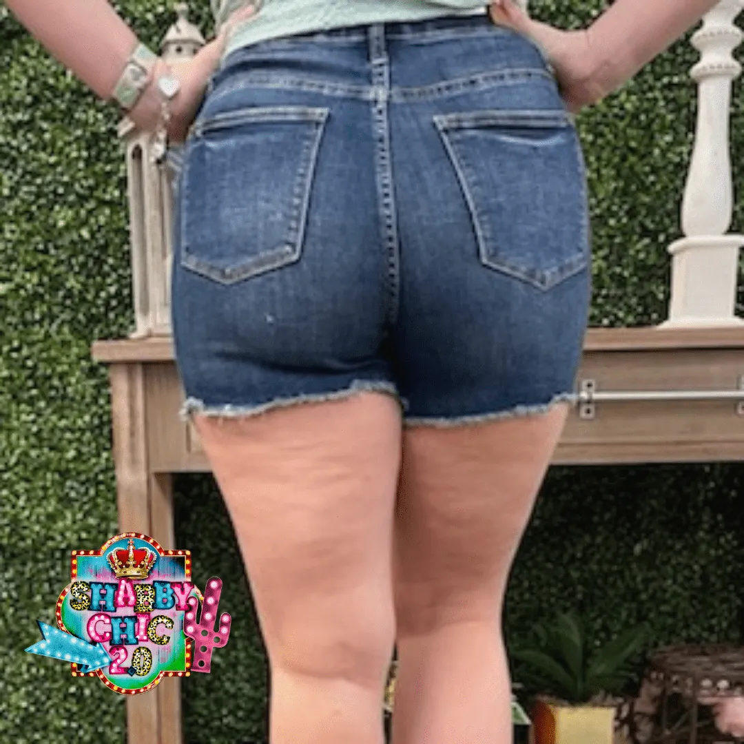 Judy Blue Distressed High Rise Cut Off Shorts