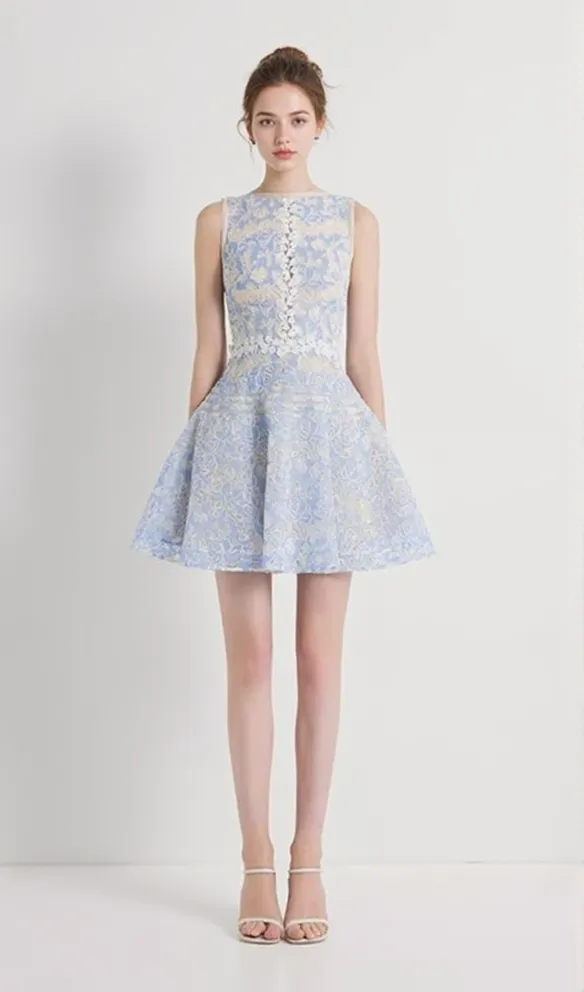 LAIKA BLUE LACE MINI DRESS