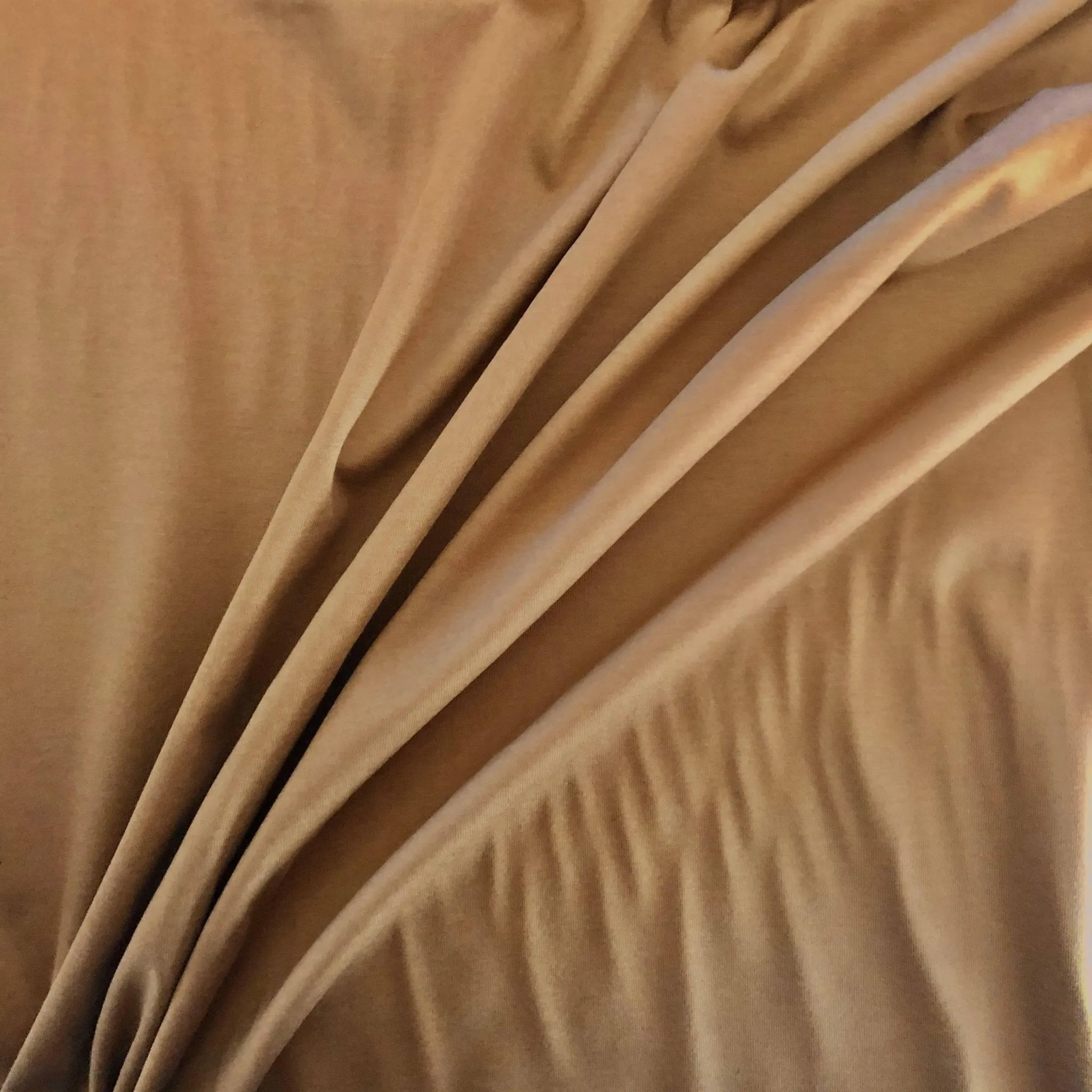 Mercerised Cotton Jersey - Mocha