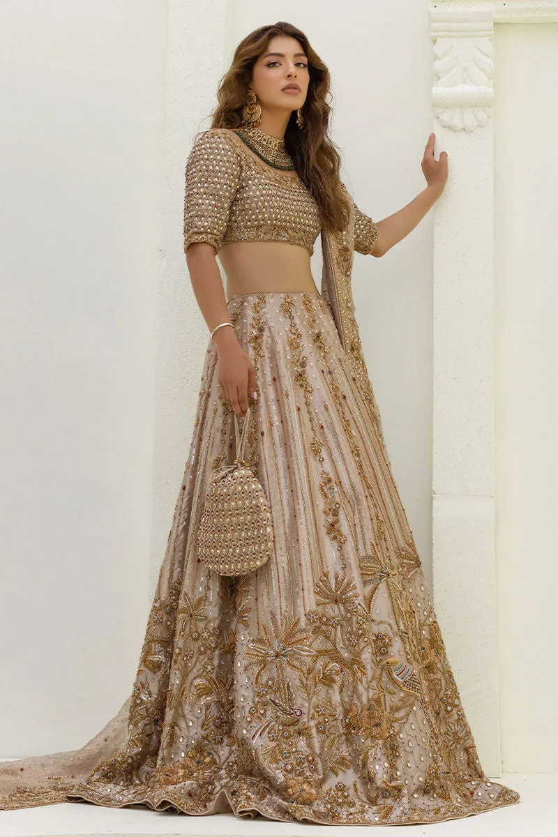Pakistani Choli and Bridal Lehenga