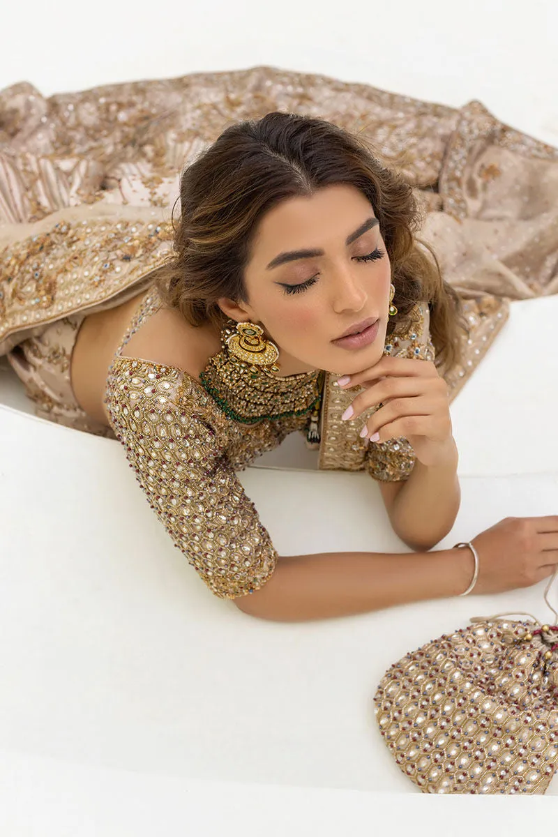 Pakistani Choli and Bridal Lehenga