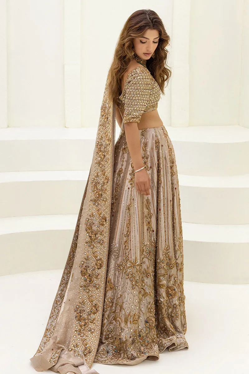 Pakistani Choli and Bridal Lehenga
