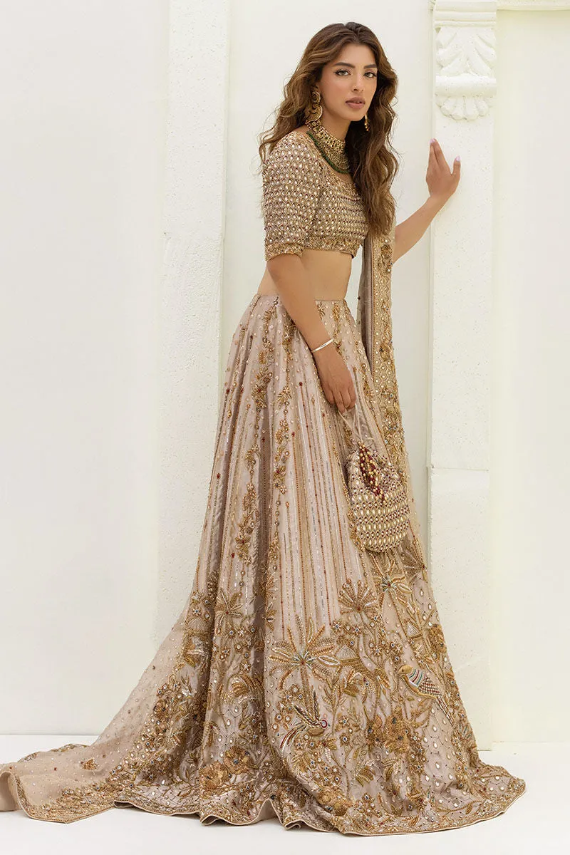 Pakistani Choli and Bridal Lehenga