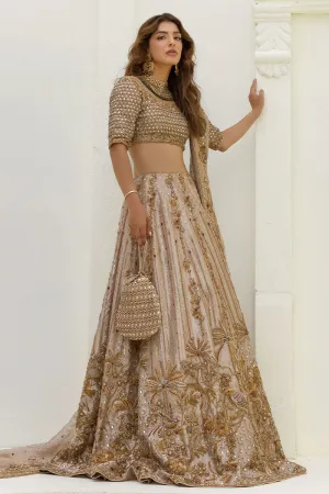 Pakistani Choli and Bridal Lehenga