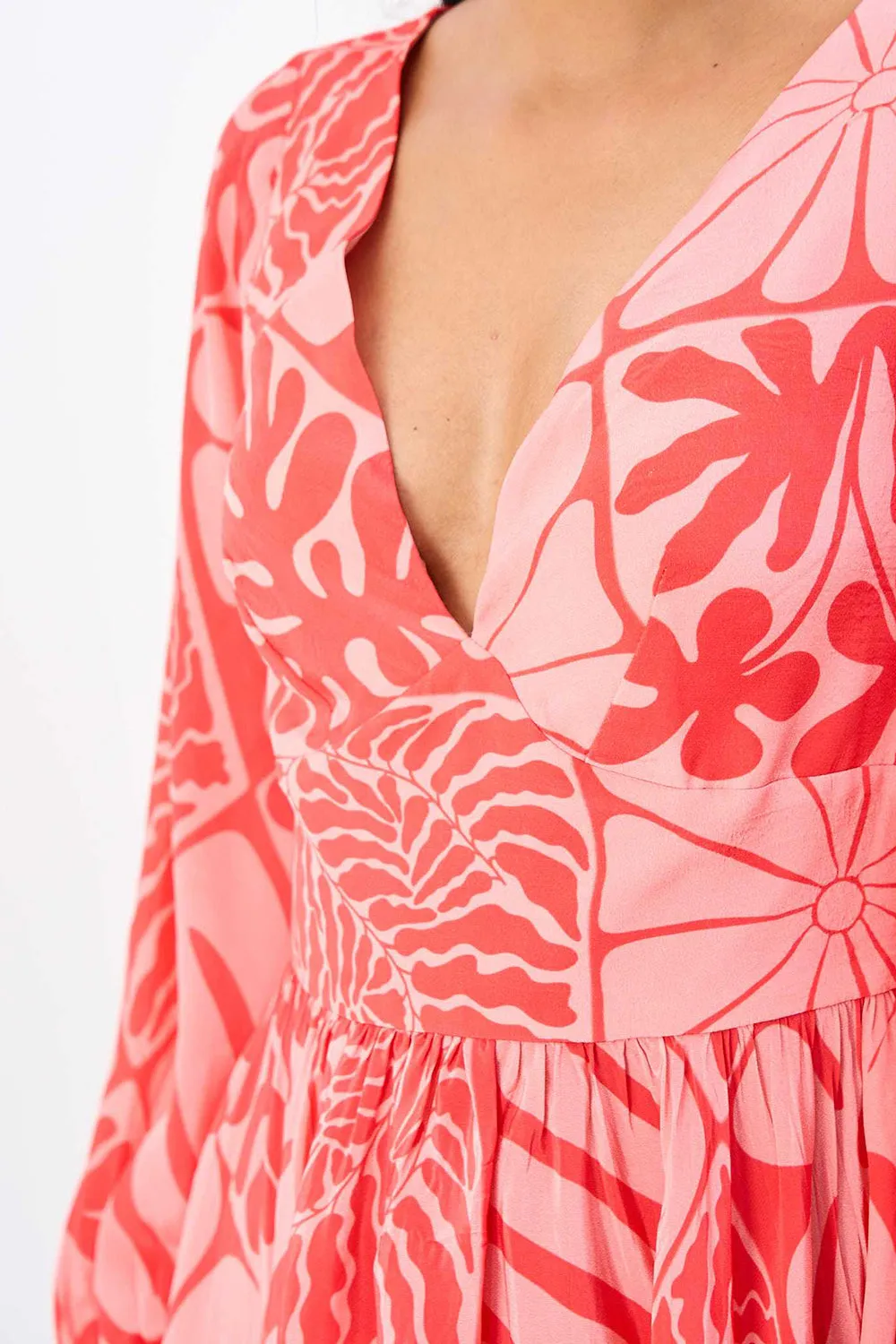 Phool Phal aur Fauna Dress