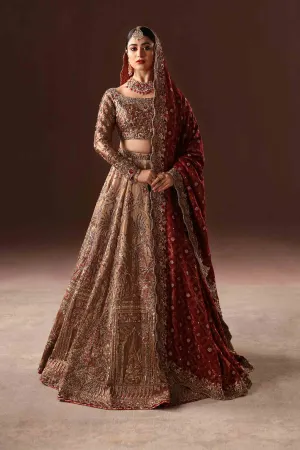 Royal Rusted Gold Embroidered Pakistani Bridal Dress Lehenga choli