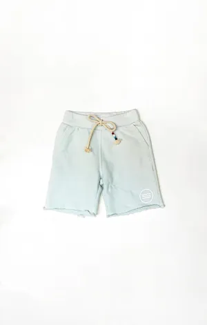 Waves Saddle Short (Mist)